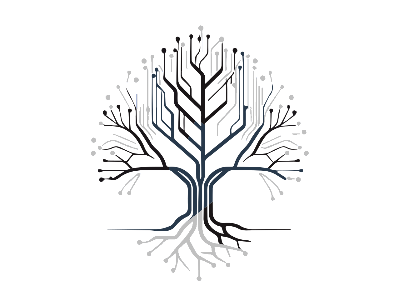 Transparent-Logo-Silver